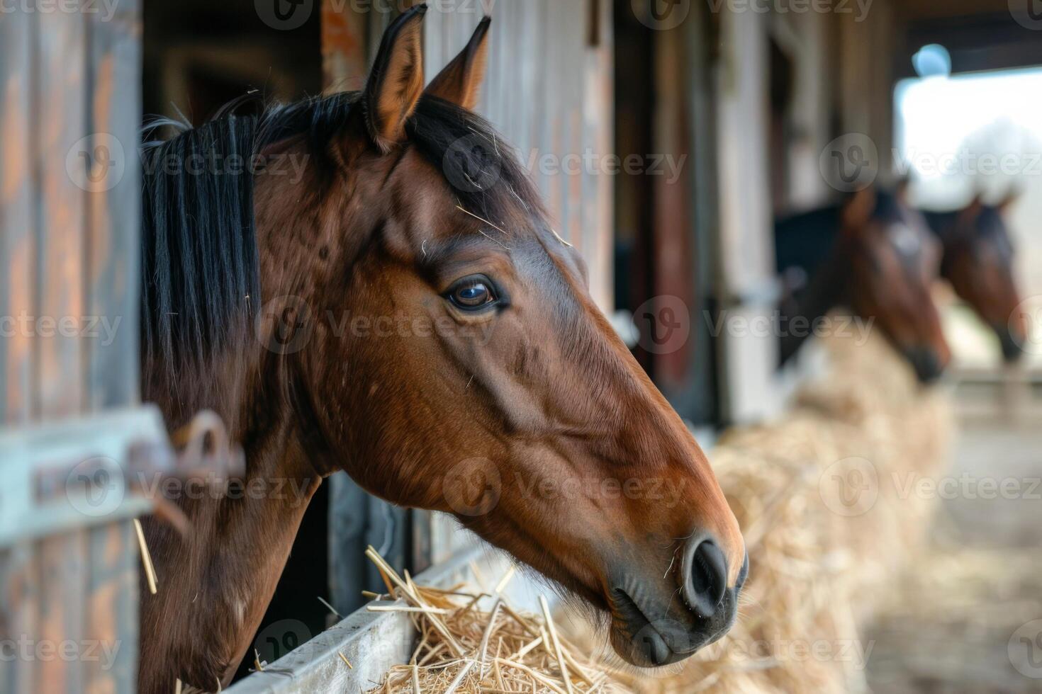 ai genererad häst i stabil med häst- följeslagare, hö och jordbruk element i en rustik miljö foto