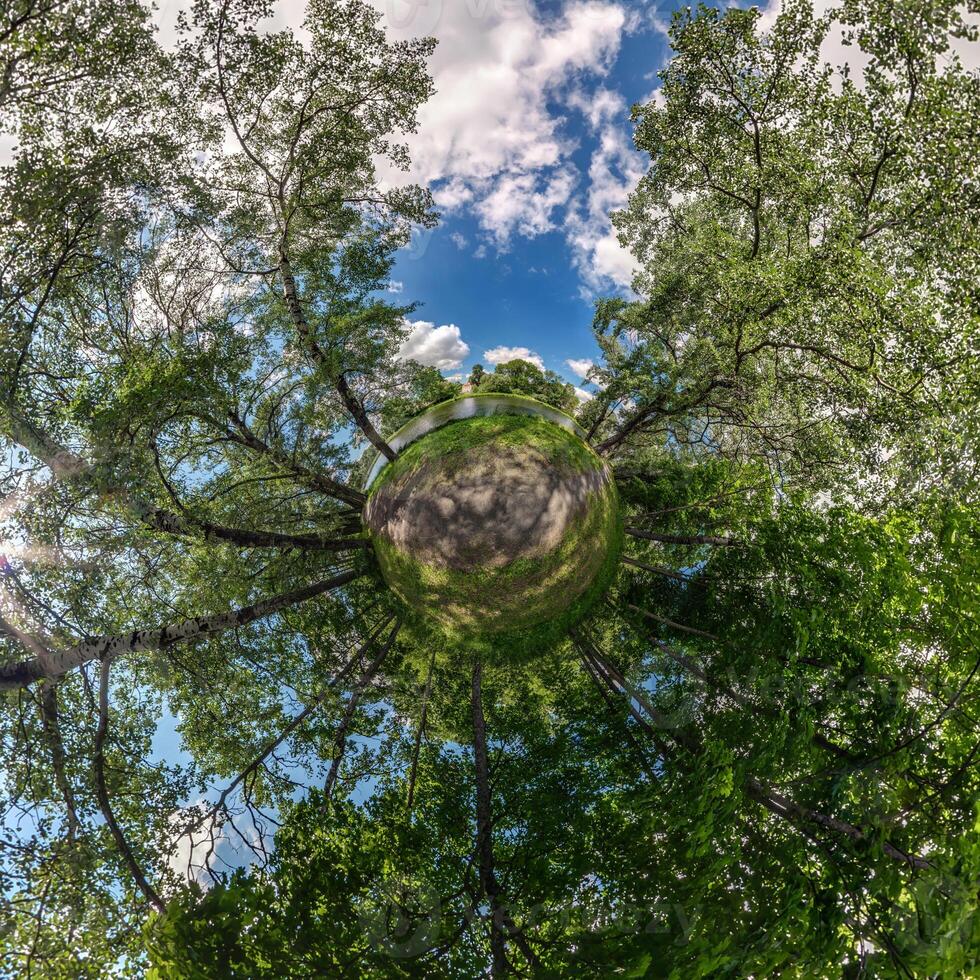 mycket liten planet omvandling av sfärisk panorama 360 grader. sfärisk abstrakt antenn se med träd i skog med klumpig grenar i blå himmel. krökning av Plats. foto