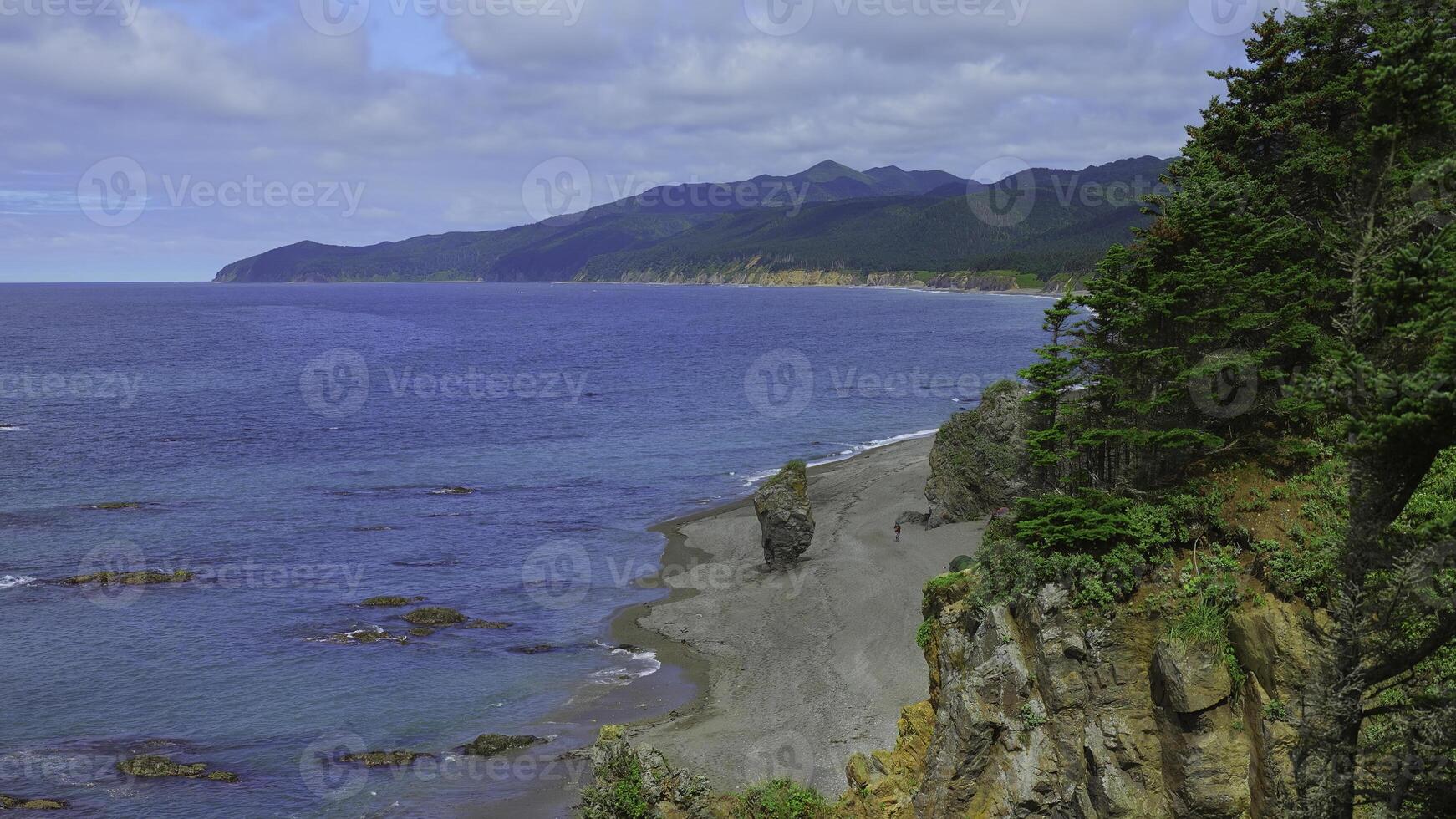 skön se av böja av kust med stenar på solig dag. klämma. landskap av klippig kust med grön bergen och skog. skön strand med stenar och blå hav på solig dag foto