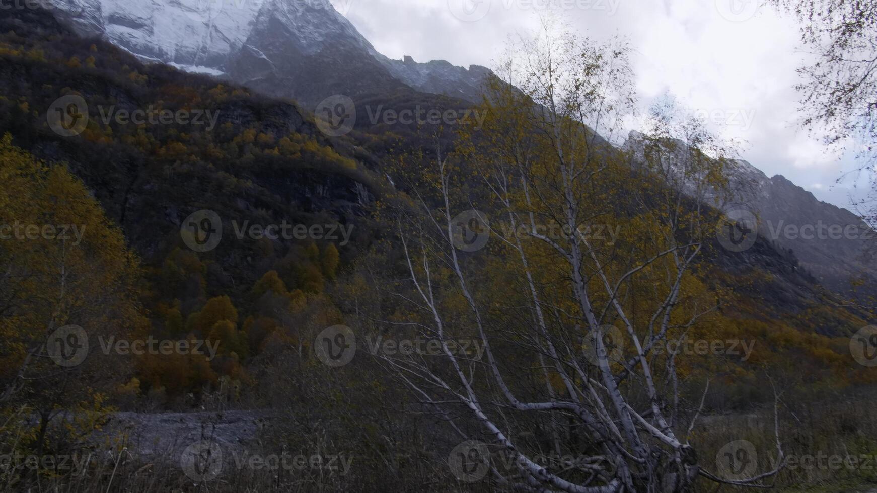 klippig klippa landskap bevuxen förbi träd i mongoliet på en dimmig dag. kreativ. höst bergen och snöig toppar. foto