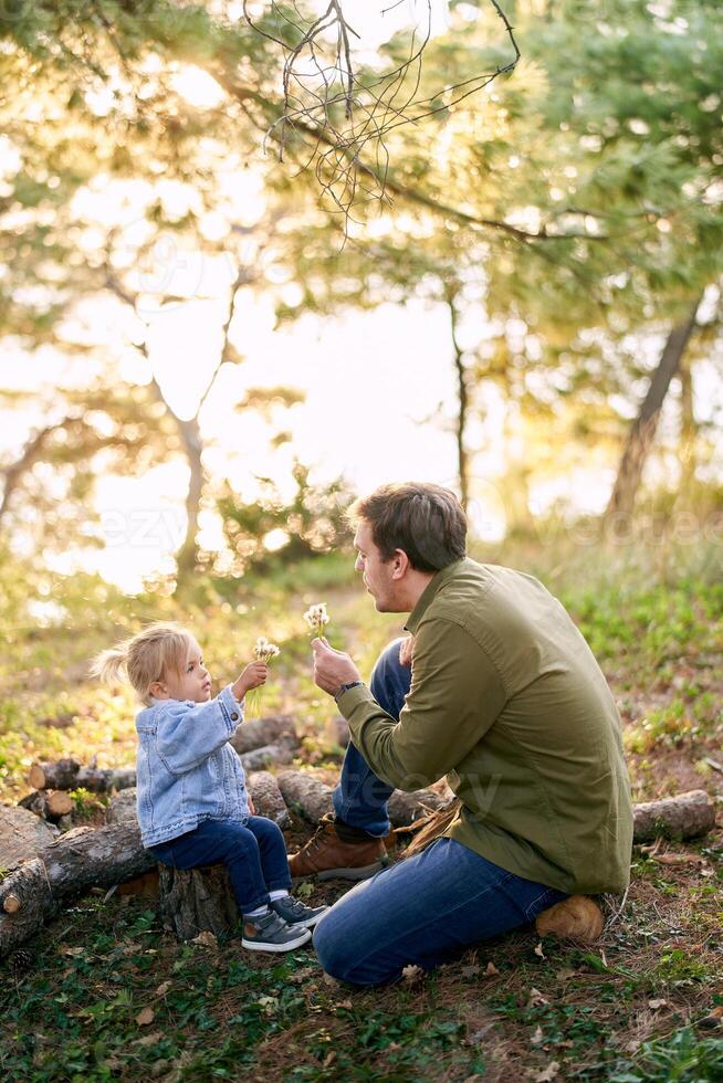 pappa och liten flicka sitta på loggar och blåsa på maskrosor i deras händer foto