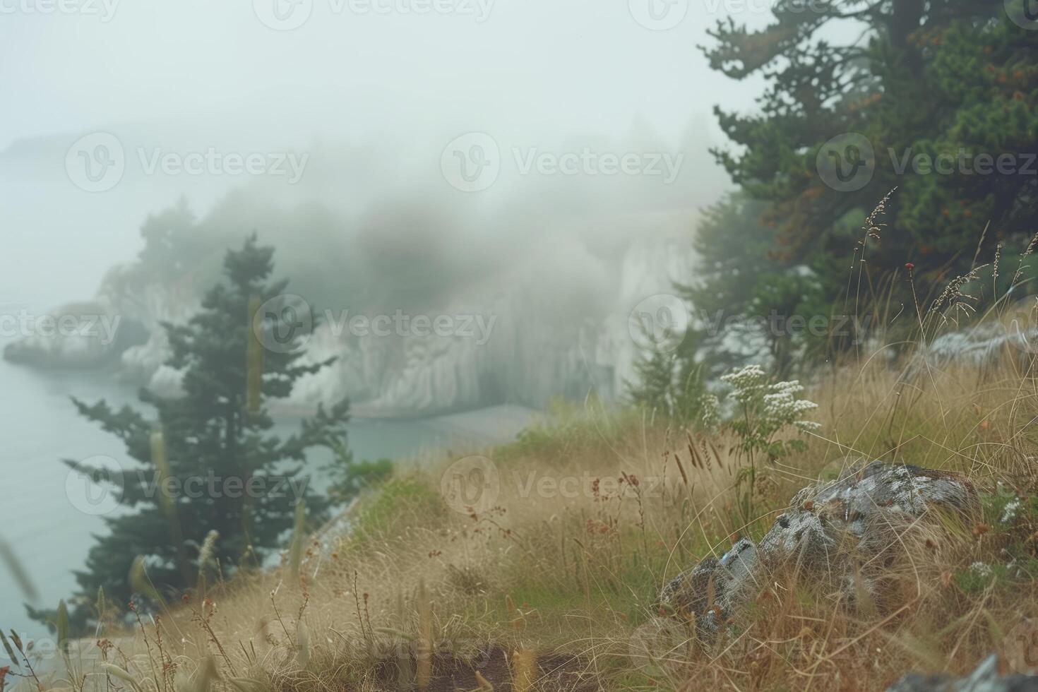 ai genererad kust regnig landskap, dimmig morgon- på en brant Bank, suddig bakgrund foto