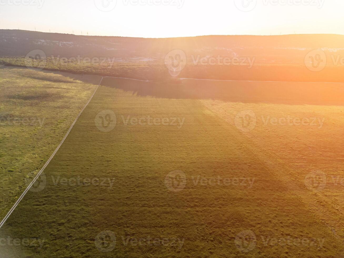 antenn se på grön vete fält, väg och kullar i landsbygden. fält av vete blåser i de vind på solnedgång. öron av korn beskära i natur. agronomi, industri och mat produktion. foto