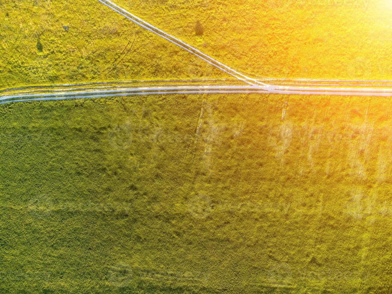 antenn se på grön vete fält och väg i landsbygden. fält av vete blåser i de vind på solnedgång. ung och grön spikelets. öron av korn beskära i natur. agronomi, industri och mat produktion foto