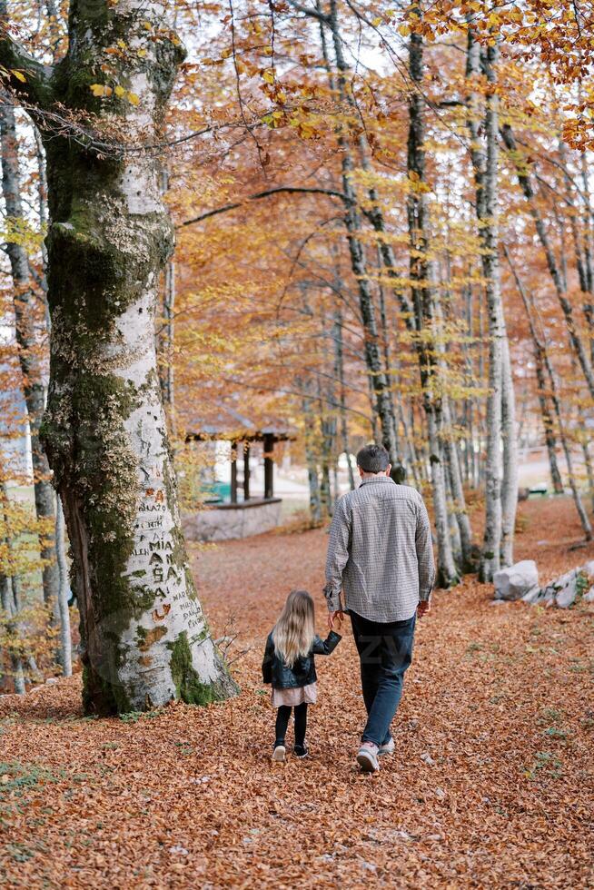 pappa och en liten flicka promenad innehav händer längs fallen torr löv i ett höst parkera. tillbaka se foto