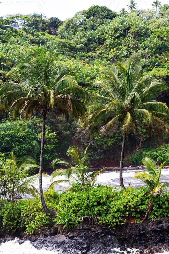 stor ö hawaii strand med frodig tropisk vegetation foto