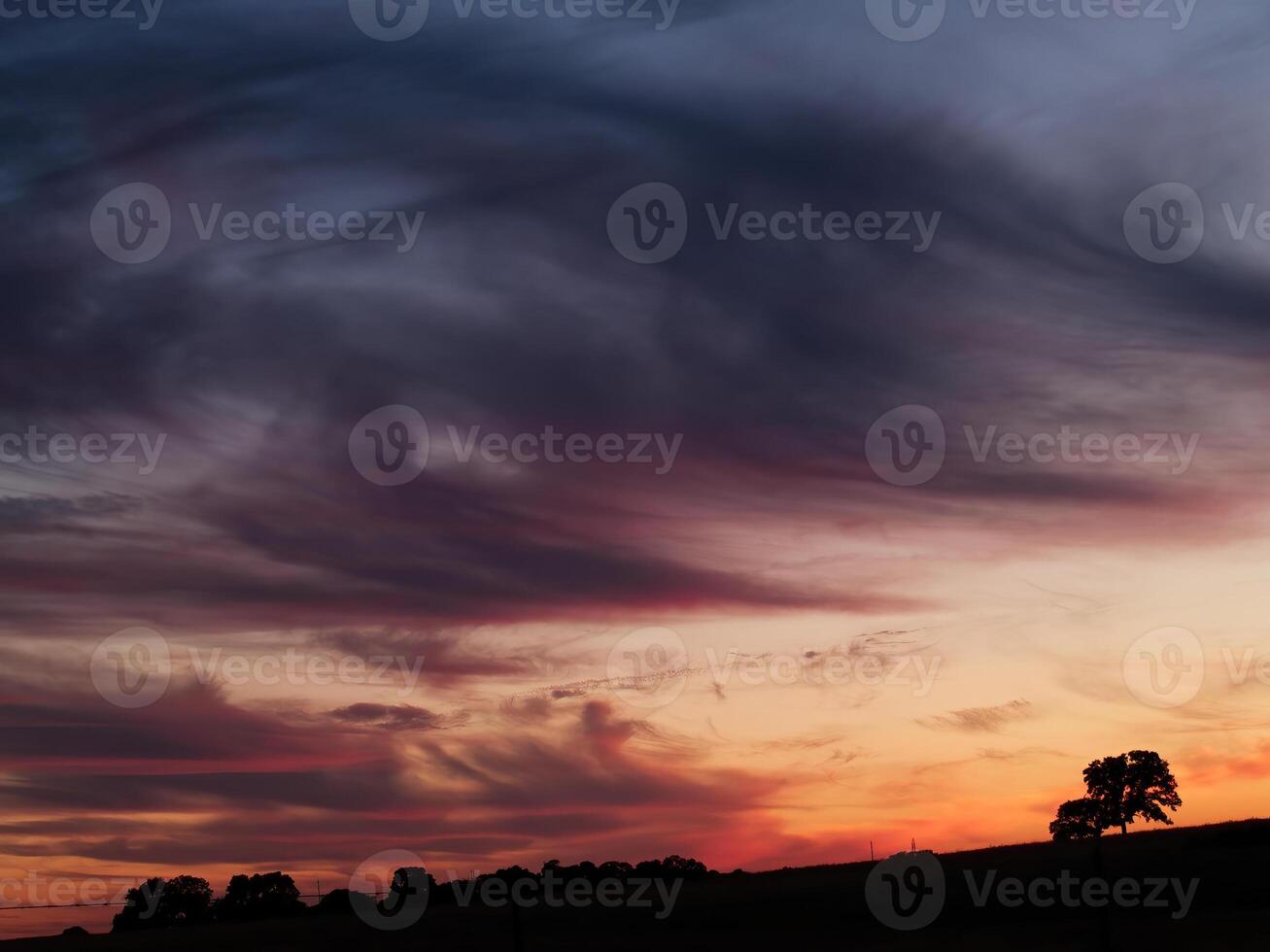 ek träd silhouetted på kulle under solnedgång foto