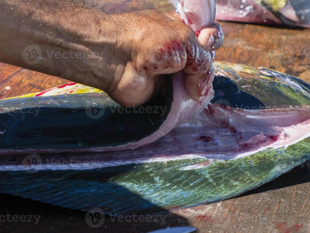 mahi mahi dorado fisk på fiskare rengöring tabell baja kalifornien sur mexico foto