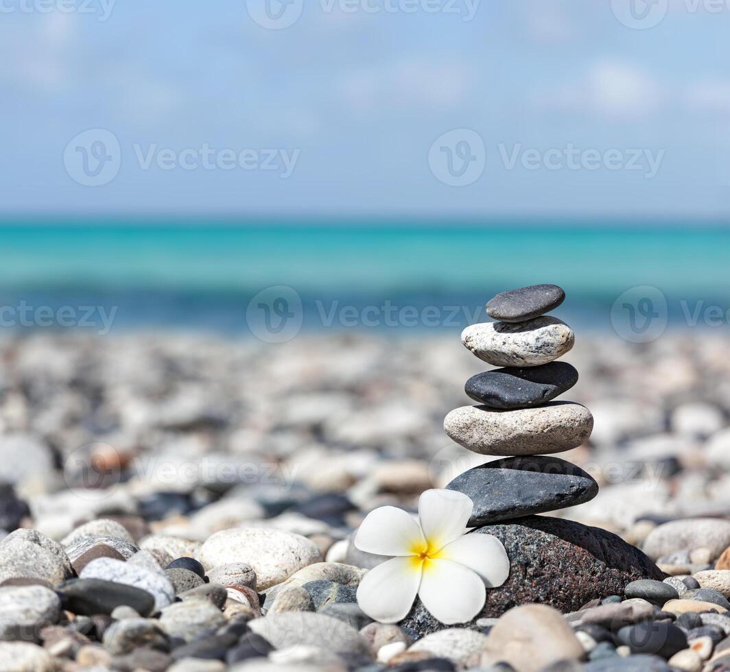 zen balanserad stenar stack med plumeria blomma foto