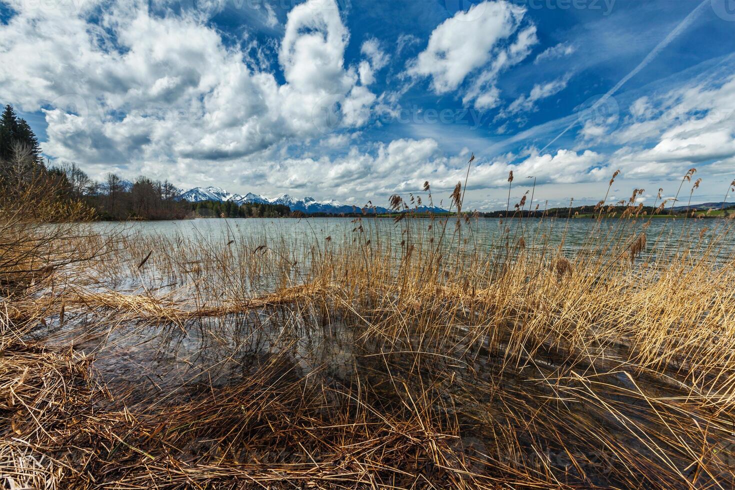 bavarian alps landsbygden landskap foto