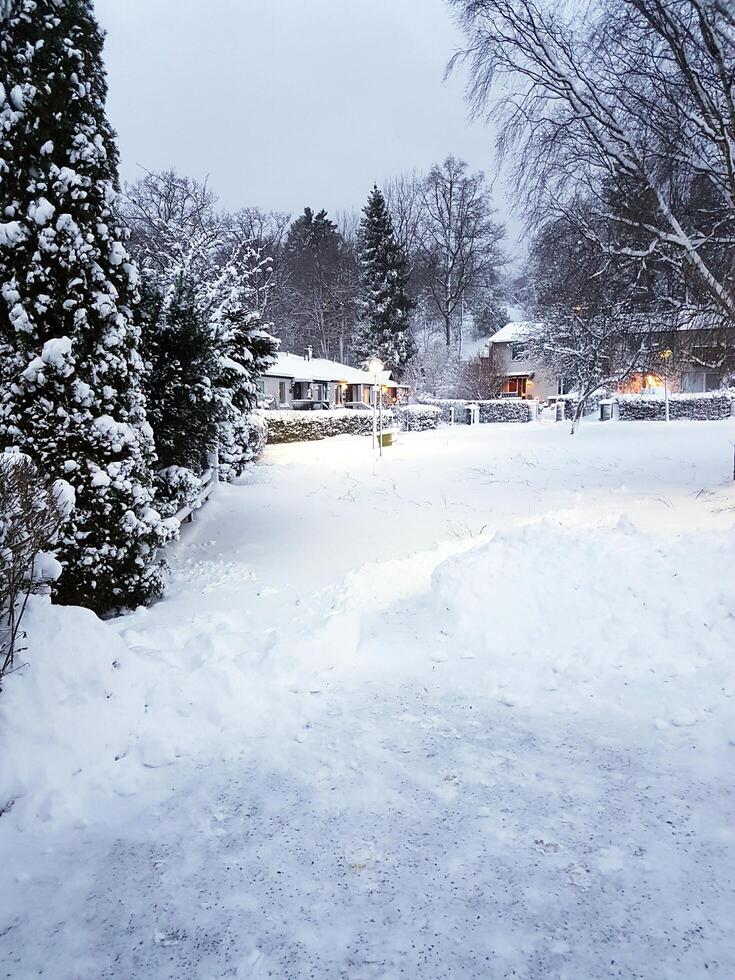 vinter- på de utkant av stockholm foto