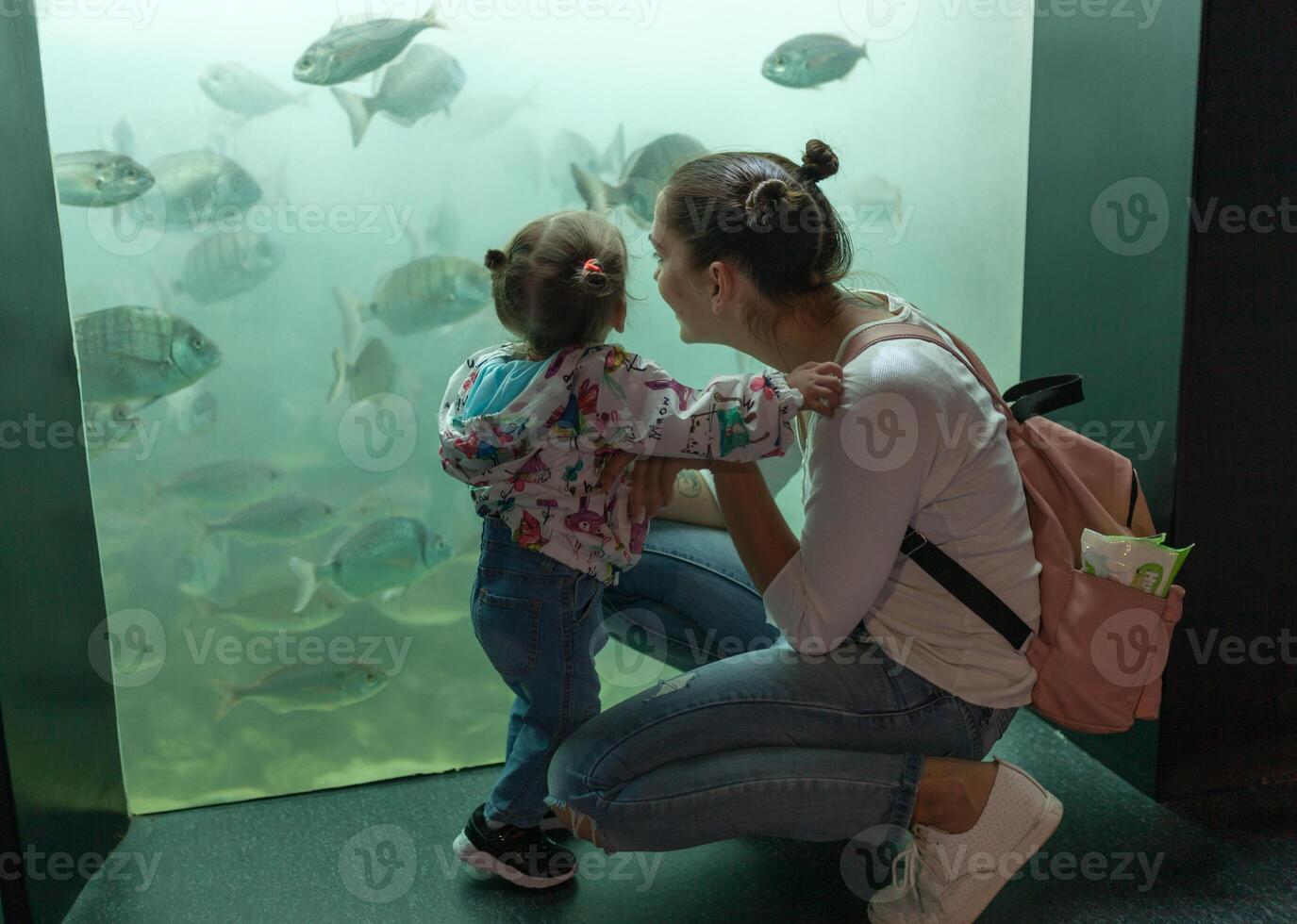 Brest, Frankrike 31 Maj 2018 mamma och hans liten dotter är ser på hav fisk och djur i de akvarium av de oceanopolis foto