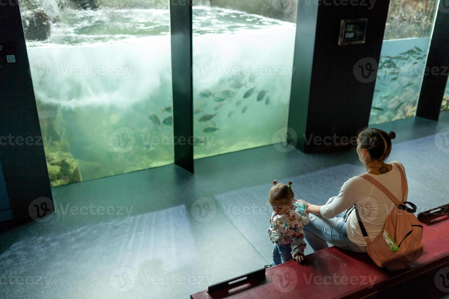 Brest, Frankrike 31 Maj 2018 mamma och hans liten dotter är ser på hav fisk och djur i de akvarium av de oceanopolis foto