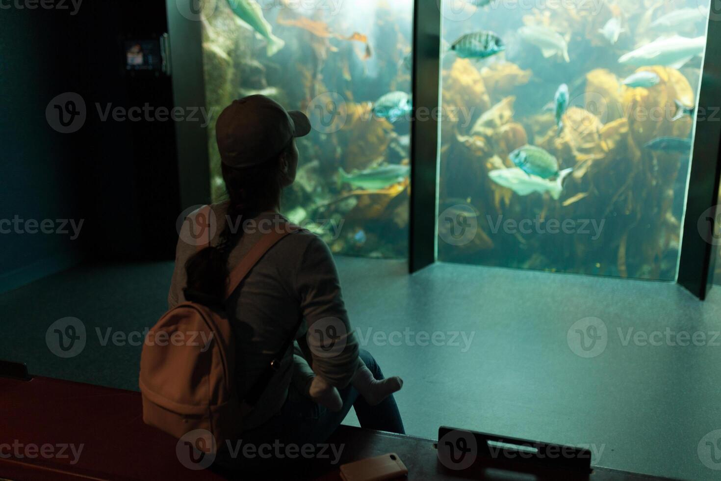 Brest, Frankrike 31 Maj 2018 mamma och hans liten dotter är ser på hav fisk och djur i de akvarium av de oceanopolis foto