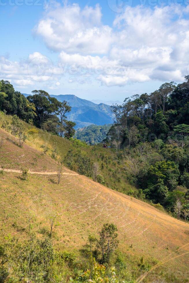 ta nang - phan dynga rutt med milstolpe mellan 3 provinser genom gräs kullar och skogar i låt mao natur boka foto