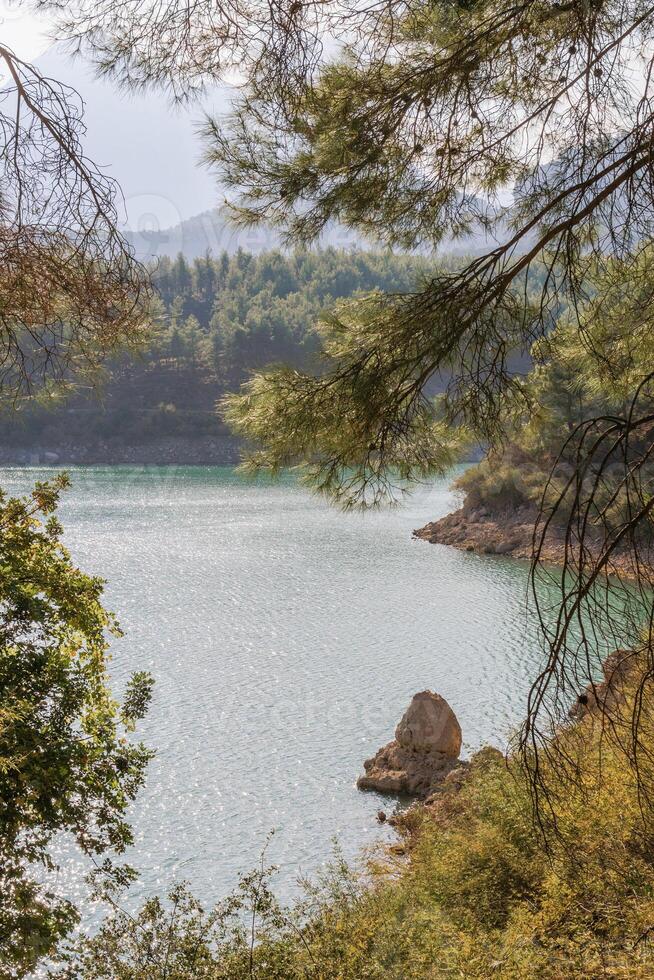 se från tall träd på sjö med rena vatten och omgivande skön bergen i solig dag. doyran damm, antalya, Kalkon. foto