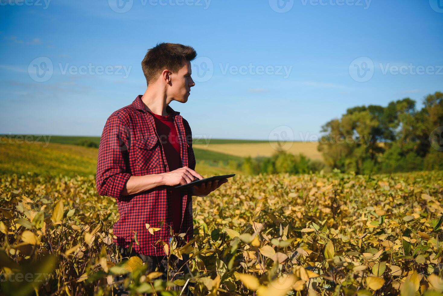porträtt av ung jordbrukare stående i inlämnad granskning sojaböna corp. foto
