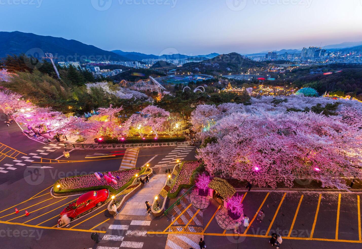 natt se av körsbär blomma festival på daegu e-world.daegu,söder korea. foto