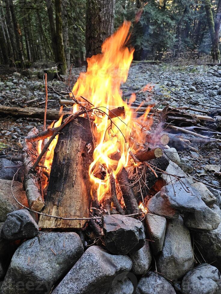 lågor av trä brand i de campingplats i sten brand grop i de skogar av Washington stat med en skön glöd och rök foto