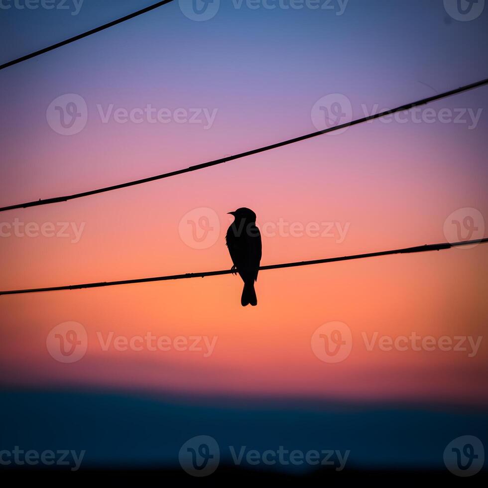 ai genererad silhouetted fågel uppflugen graciöst på kraft linje mot skymning för social media posta storlek foto
