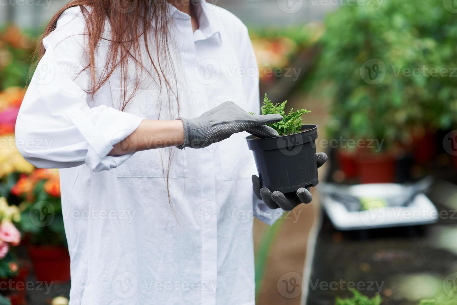 stampa jorden. foto av flicka i handskar som arbetar med växten i krukan