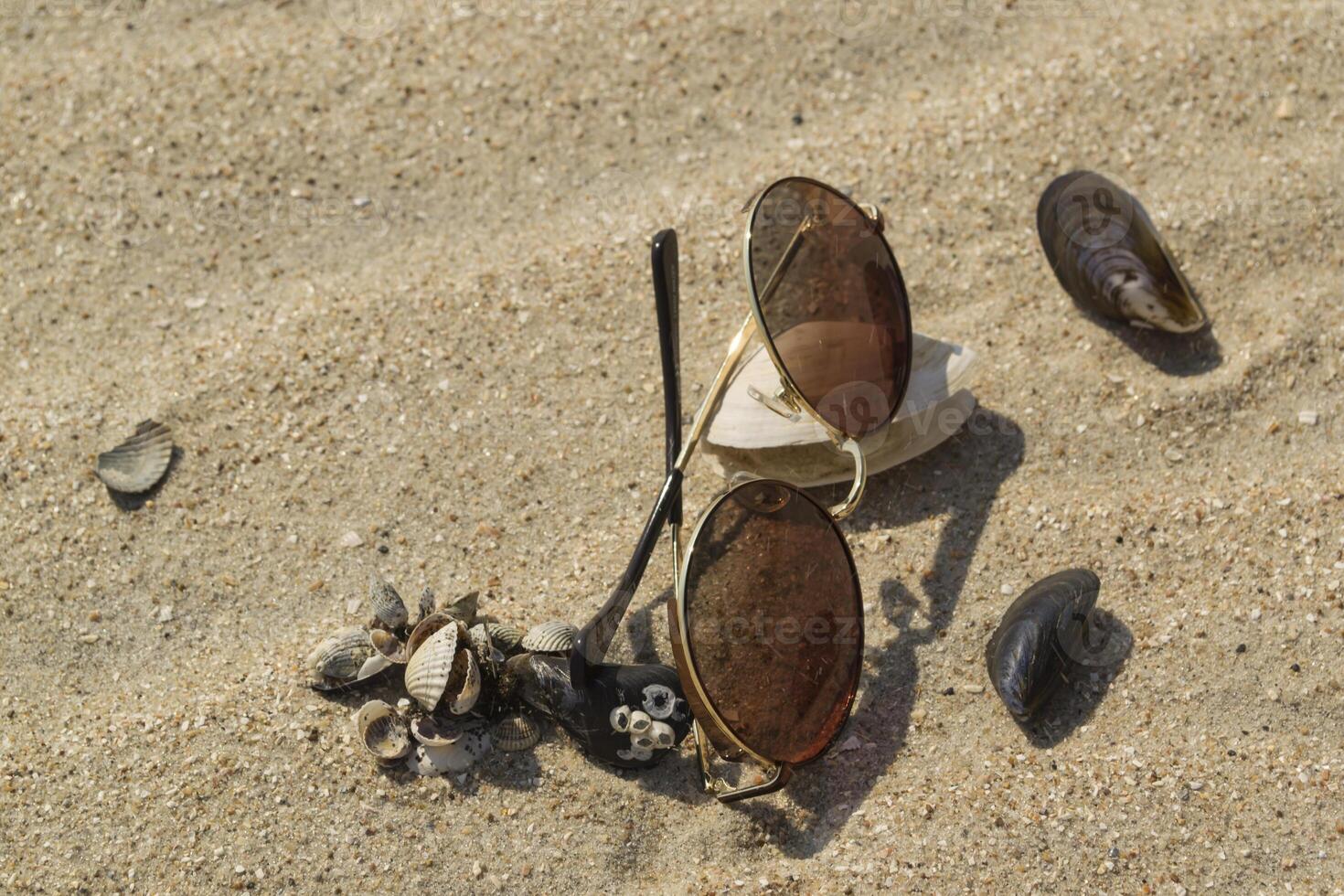 solglasögon och snäckskal på de sand. foto