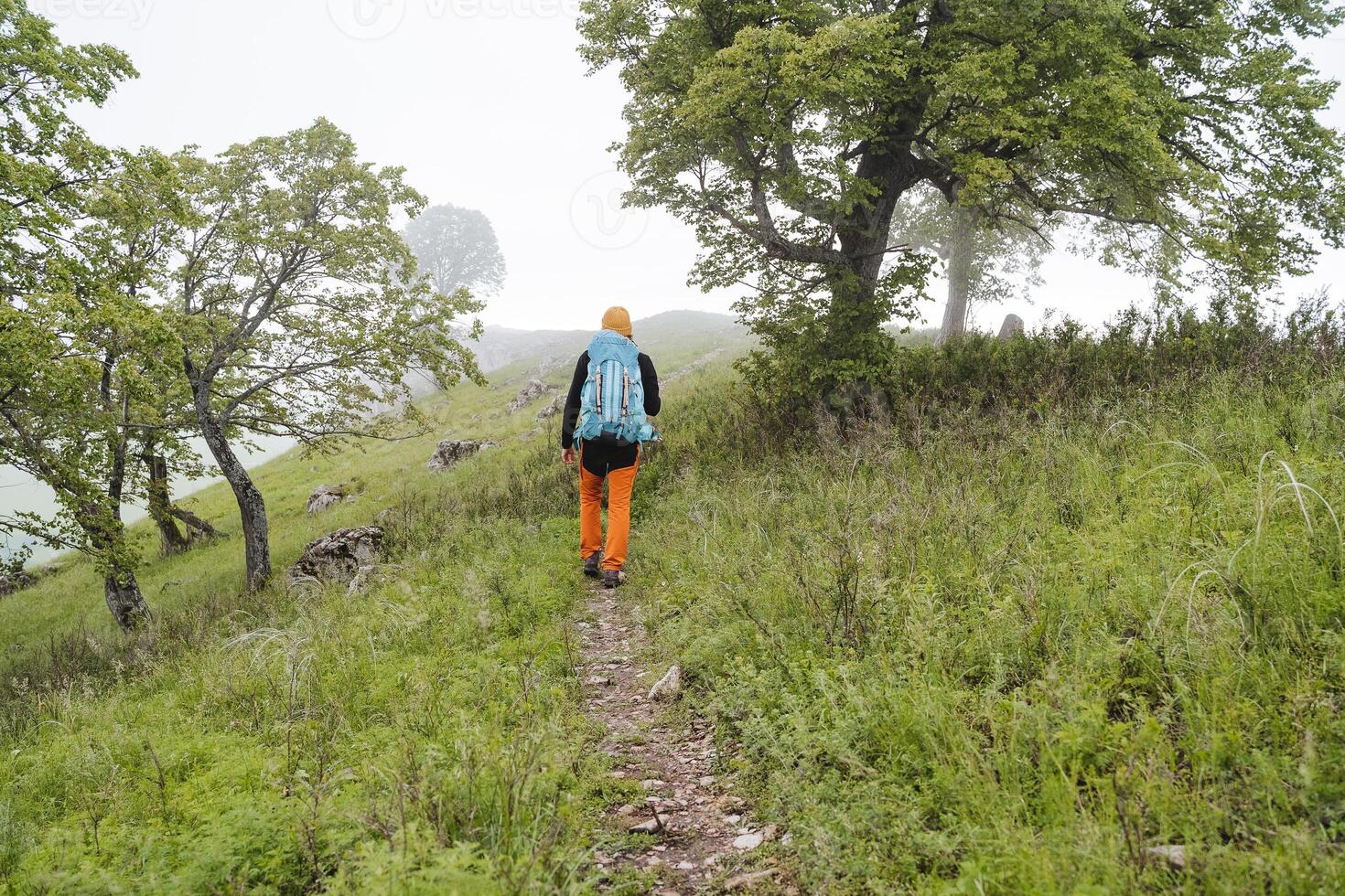 en person går in i de distans längs de spår, molnig väder i de bergen i de skog, en turist promenader längs en turist rutt, en ensam resande med en ryggsäck. foto