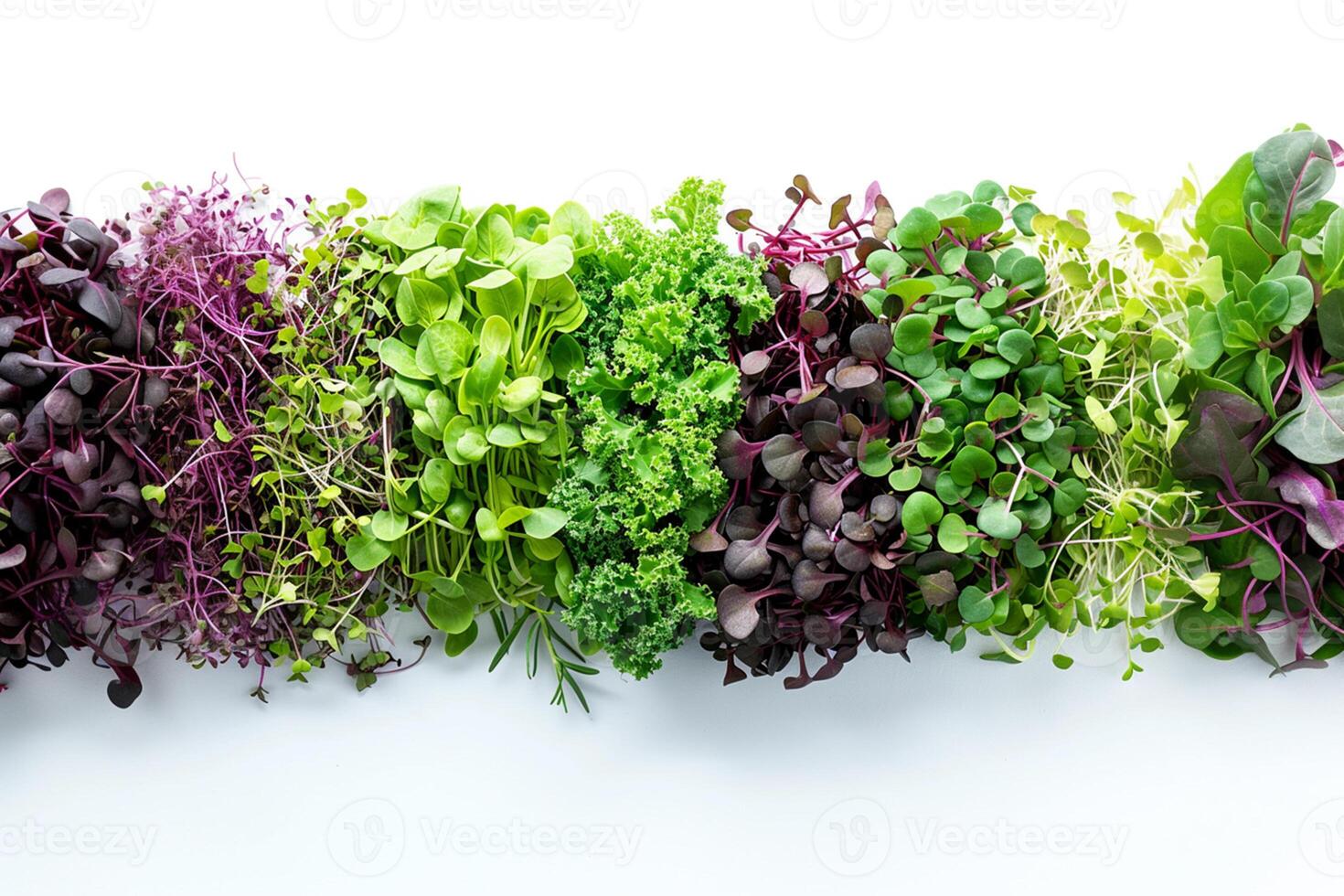 natur bebis superfood livsstil begrepp. friska bio organisk annorlunda microgreen på de vit bakgrund. foto