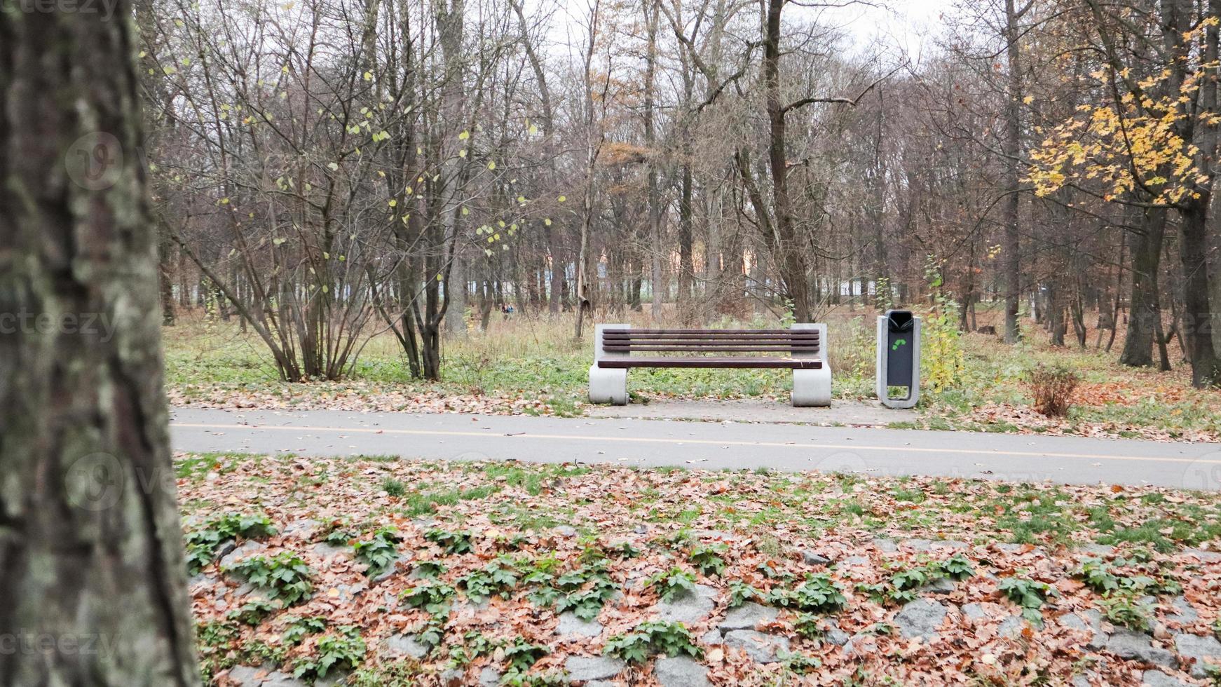 en tom bänk utan folk i höstparken. på eftermiddagen syns träd, himmel och höstlöv i bakgrunden. höstlandskap med en ensam bänk under träden i parken. foto