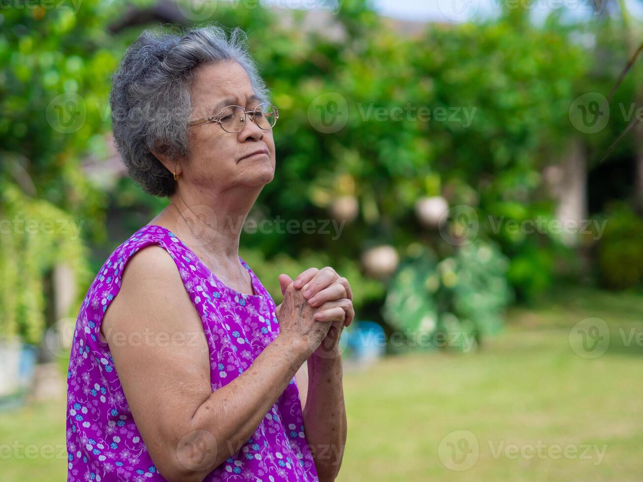 ett äldre asiatisk kvinna bär glasögon stänger henne ögon och be medan stående i de trädgård. Plats för text. begrepp av åldrig människor, vinter- säsong och religion foto