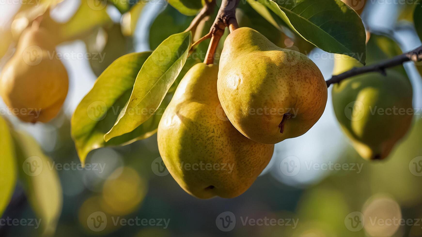 mogen saftig päron på en gren i de trädgård närbild foto