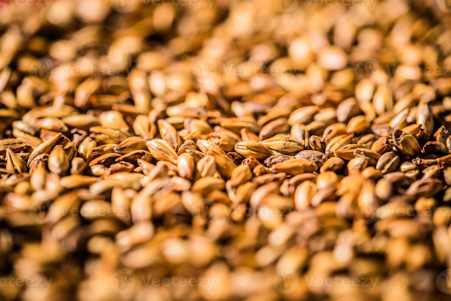 öl korn mältade korn makro textur foto