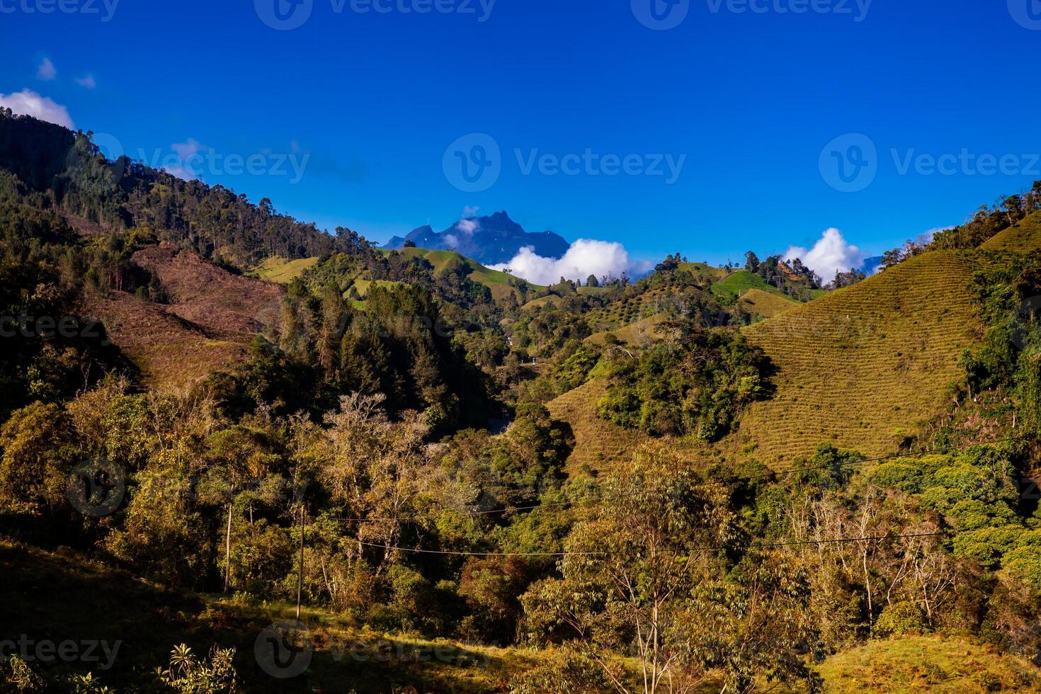 de Fantastisk landskap av de central intervall på de uppstigning till de hög av brev mellan de städer av fresno och manizales i colombia foto