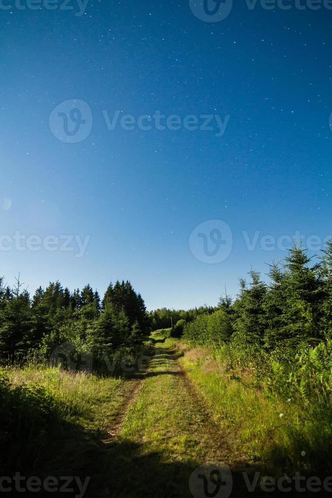 landsväg i skogen med klar himmel och stjärnor på natten foto