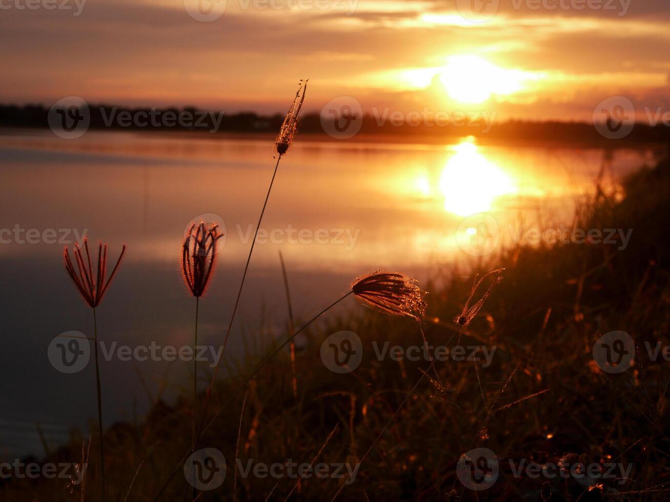 orange på solnedgång, skön med moln foto