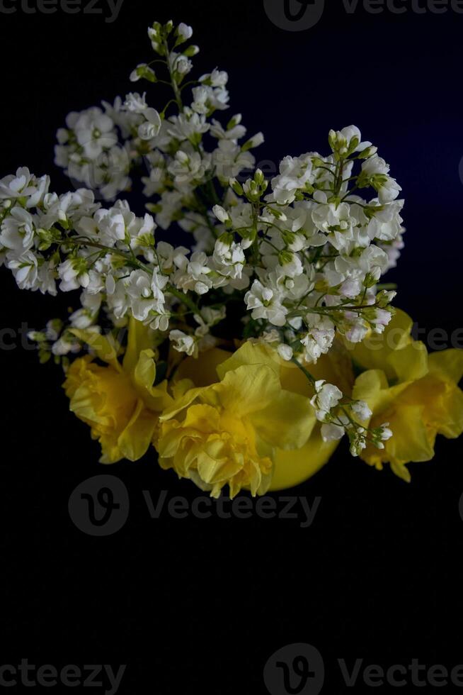 blomma arrangemang av gul påskliljor och vit arabis caucasica i en gul kopp på en svart bakgrund foto