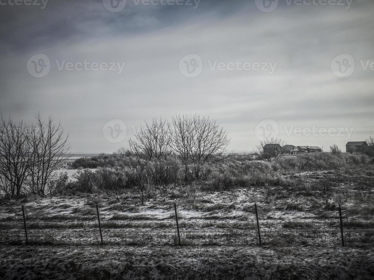 slätt land täckt med snö i Vojvodina i Serbien foto