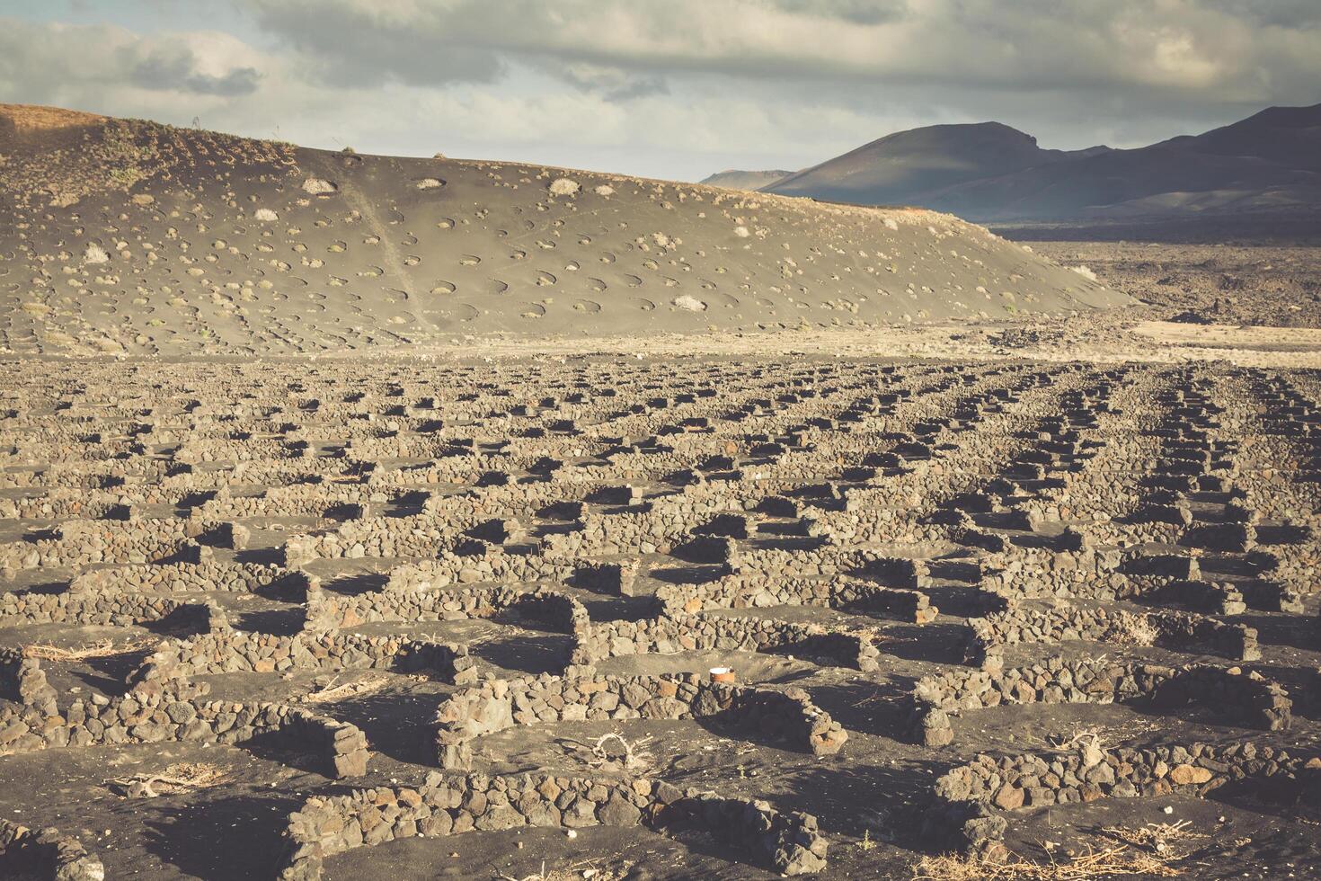 vingårdar i la geria, lanzarote, kanariefågel öar, Spanien. foto