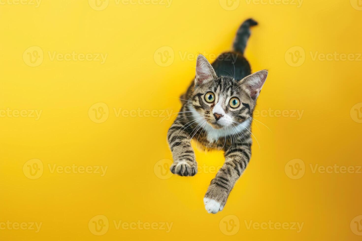 lekfull tabby katt Hoppar mot gul bakgrund foto