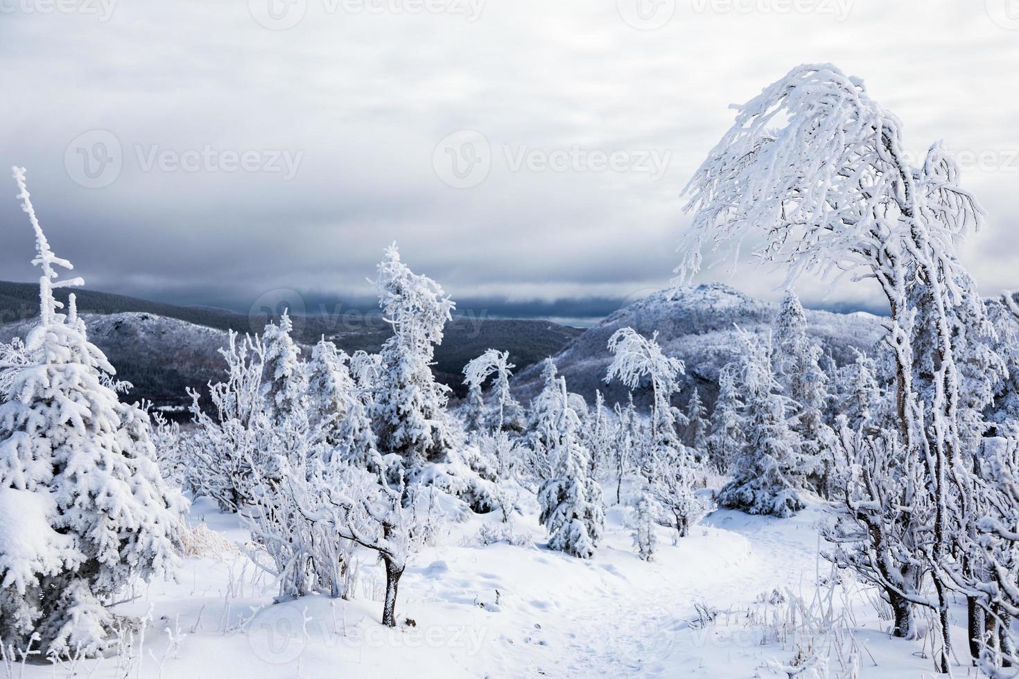 vinterlandskap från toppen av berget i Kanada, Quebec foto