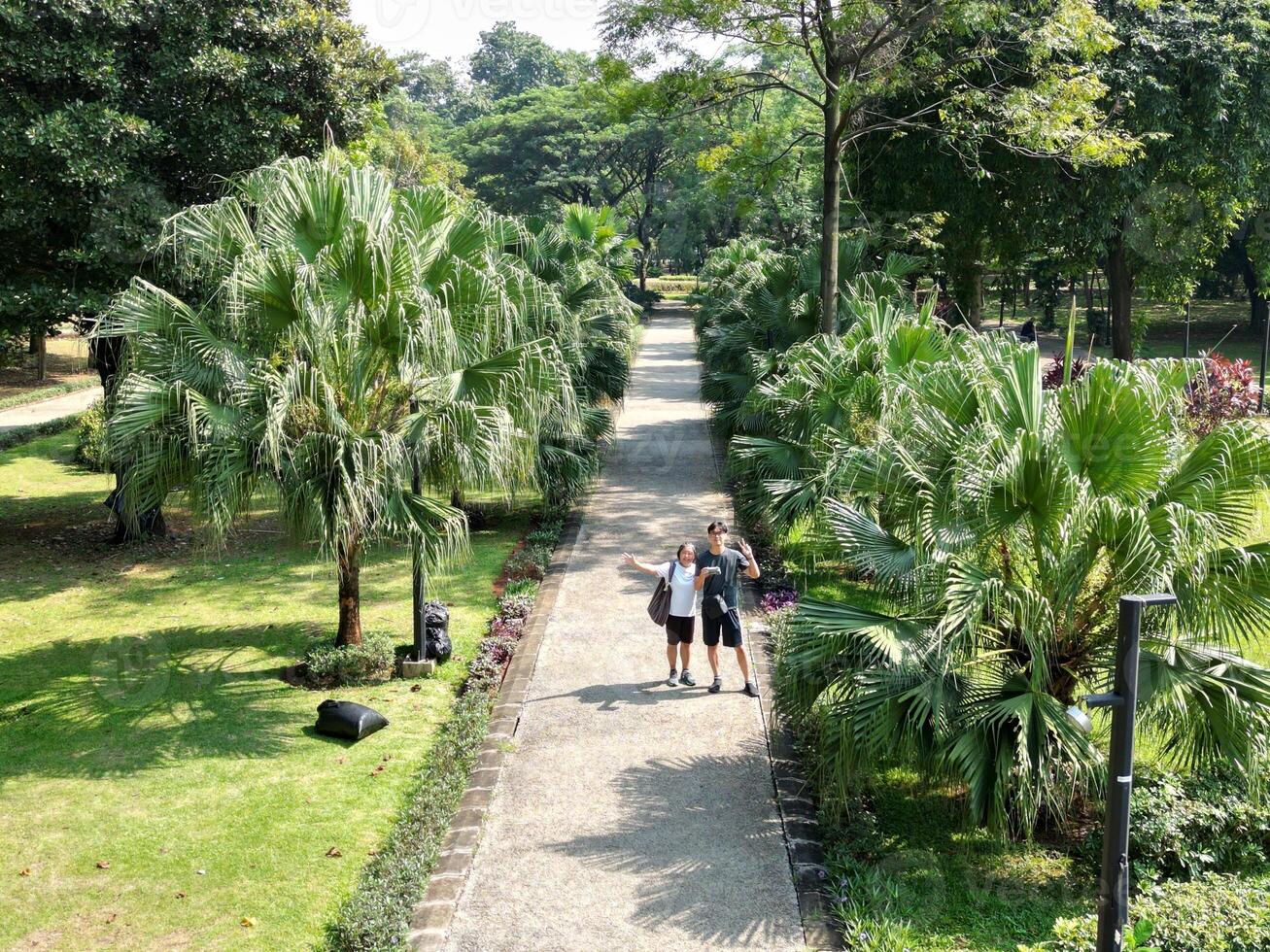 jakarta, Indonesien, 2023 - morgon- promenad på en grön parkera gångstig omgiven förbi träd, i gelora propp karno foto