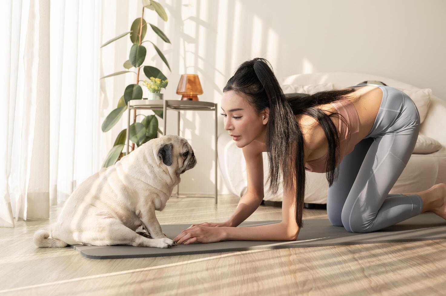 asiatisk kvinna i sportkläder utövar och håller på med yoga med söt hund i levande rum på Hem, friska livsstil, mental hälsa begrepp. foto