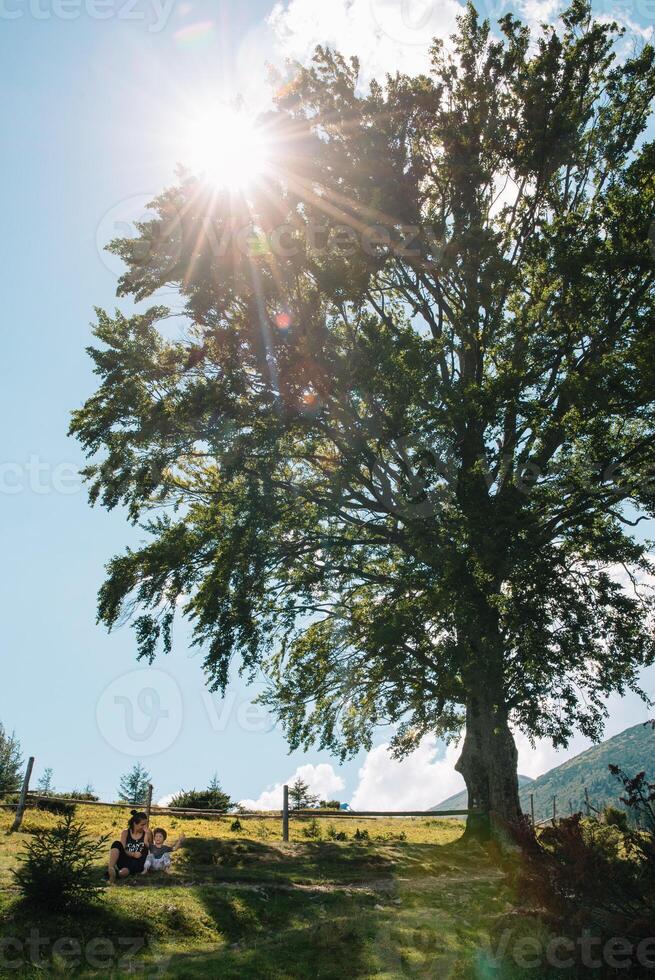 ung mamma med bebis pojke reser. mor på vandring äventyr med barn, familj resa i berg. nationell parkera. vandra med barn. aktiva sommar högtider. fisköga lins. foto