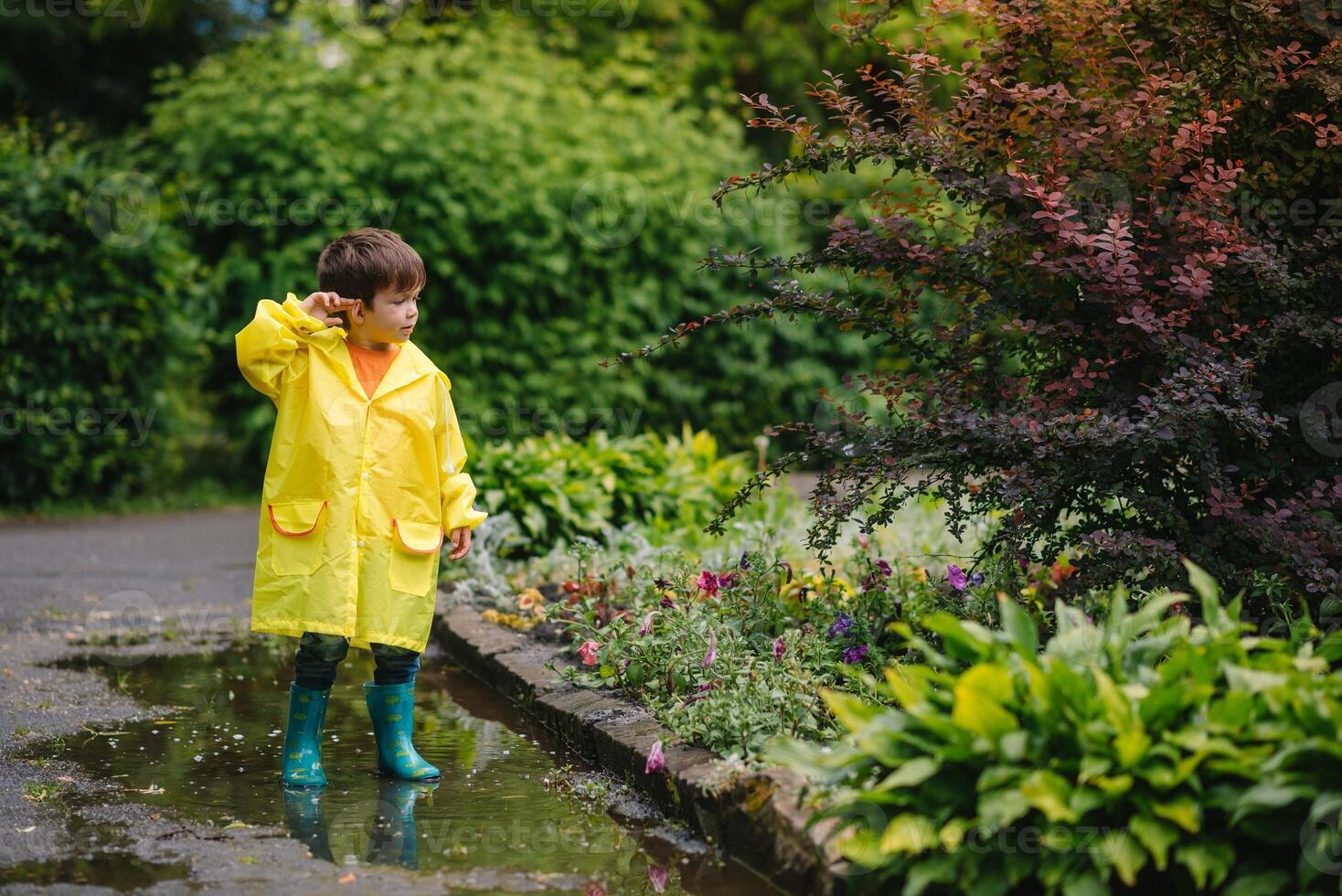 liten pojke spelar i regnig sommar parkera. barn med paraply, vattentät täcka och stövlar Hoppar i pöl och lera i de regn. unge gående i sommar regn utomhus- roligt förbi några väder. Lycklig barndom. foto