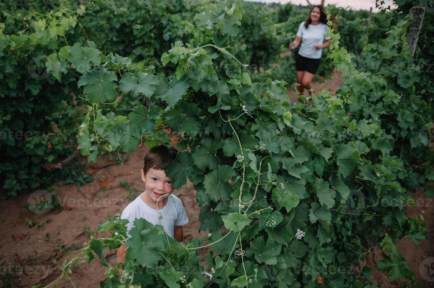 skön ung leende familj pojke och mor har roligt på en vingård foto