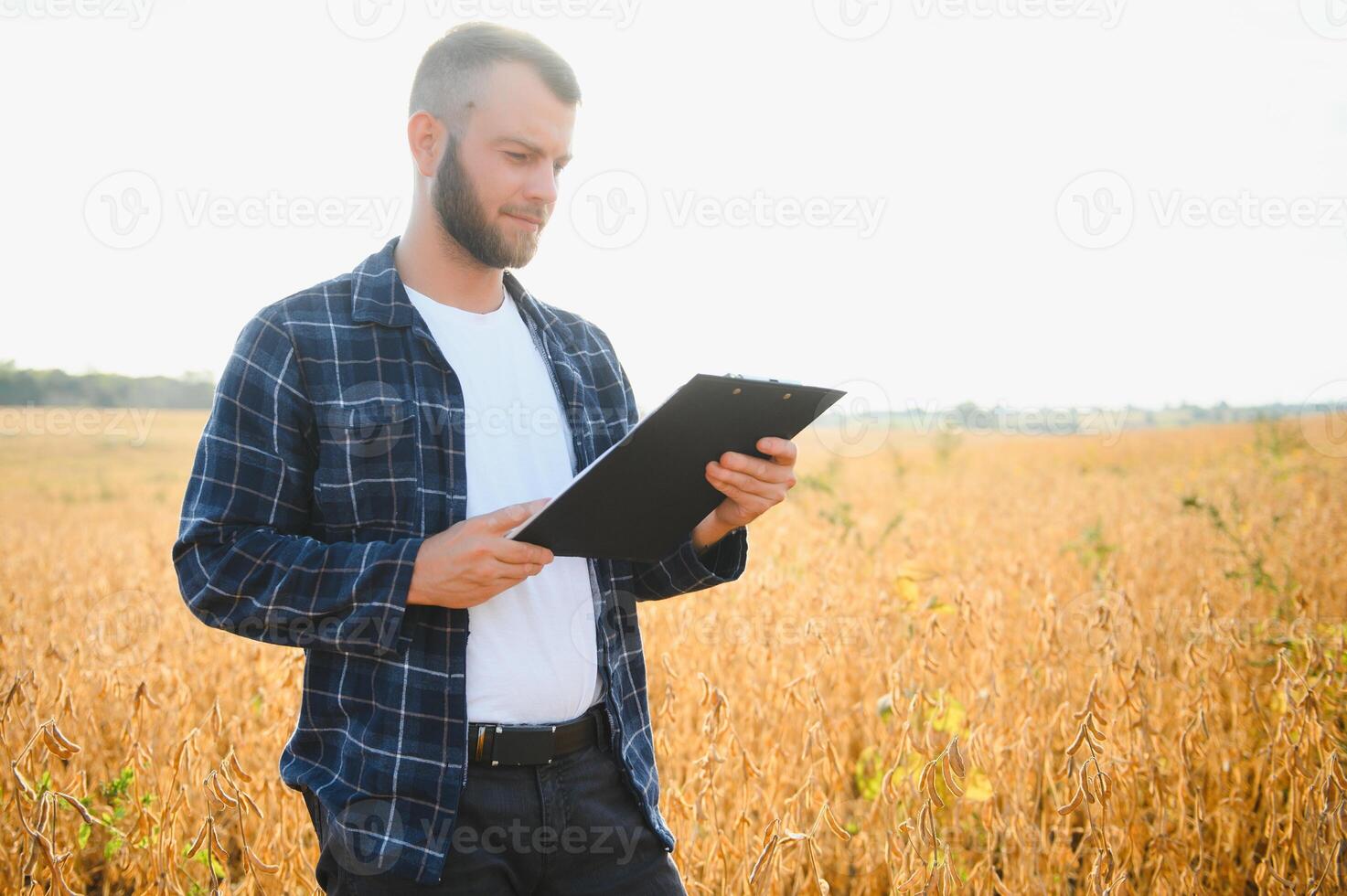 jordbrukare agronom i sojaböna fält kontroll gröda. organisk mat produktion och odling foto