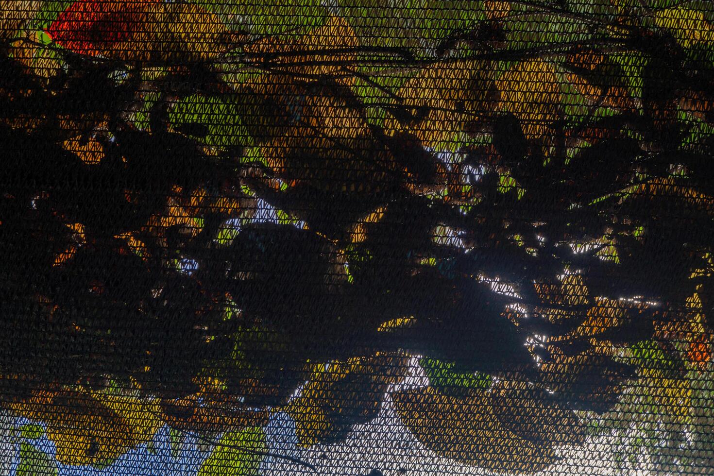 svart netto fånga de torr blad på trädgård Kafé. de Foto är lämplig för miljö bakgrund och innehåll media.