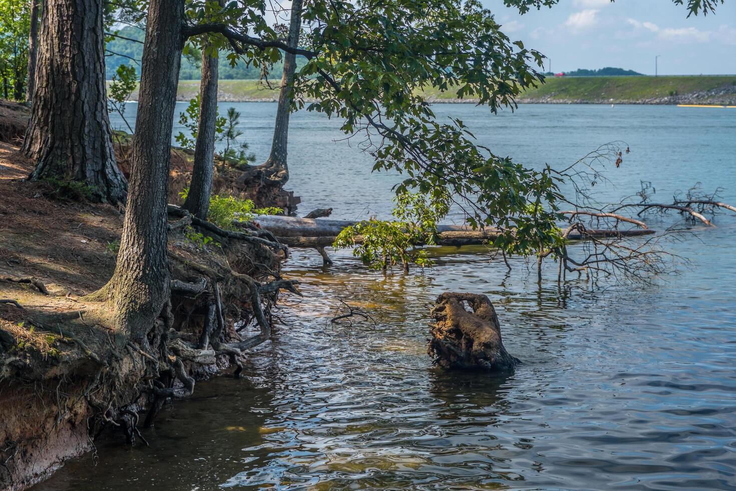 strandlinje erosion på de sjö foto