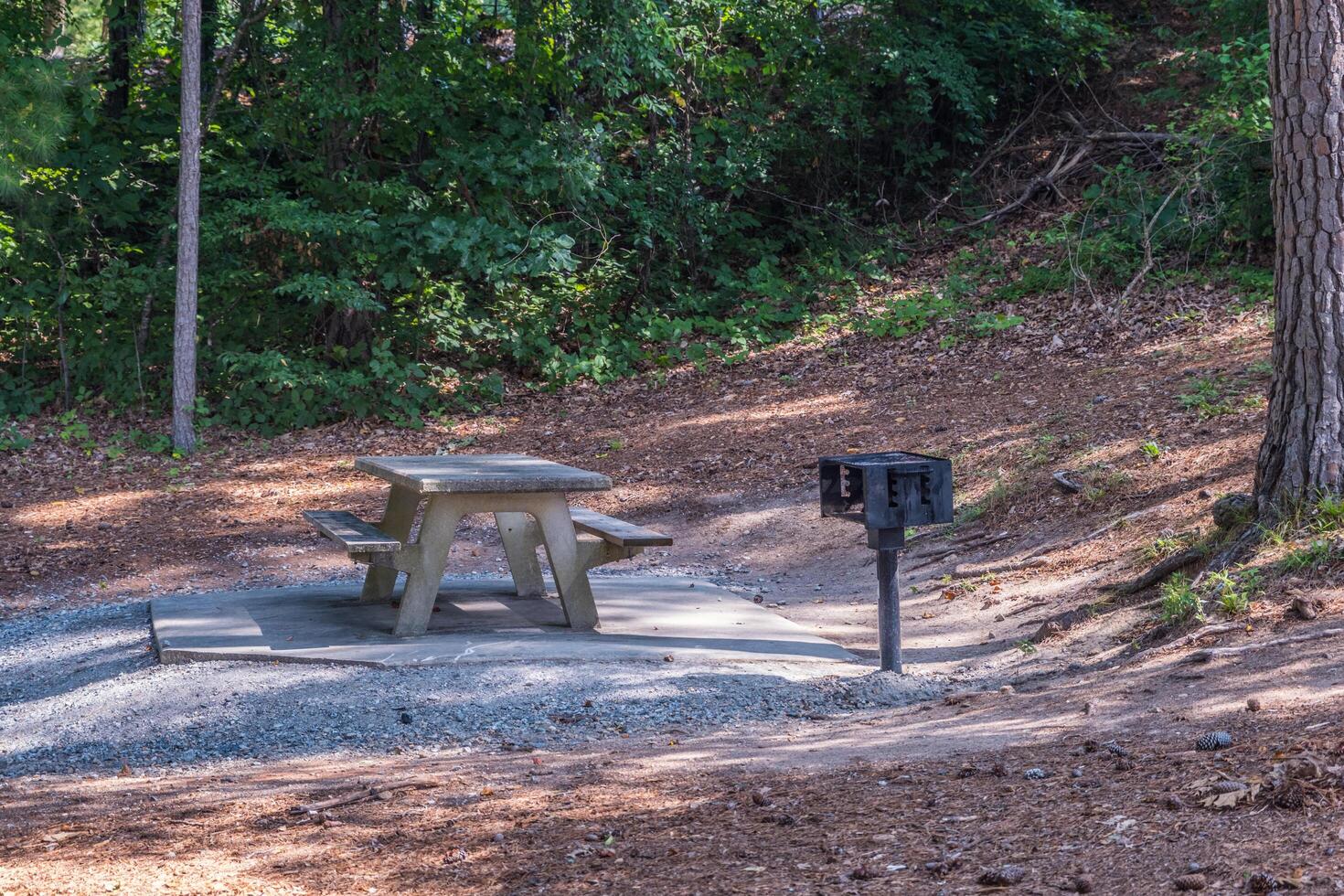 picknick tabell och grill i de skogsmarker foto