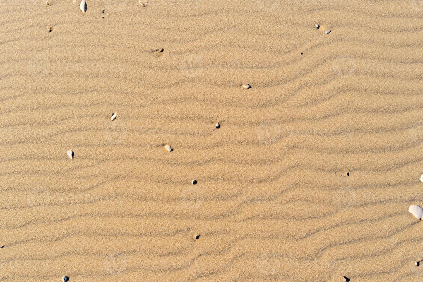 horisont hamn antenn lugn fångar skön strand sand från ovan, en lugn gobeläng av kust skönhet foto